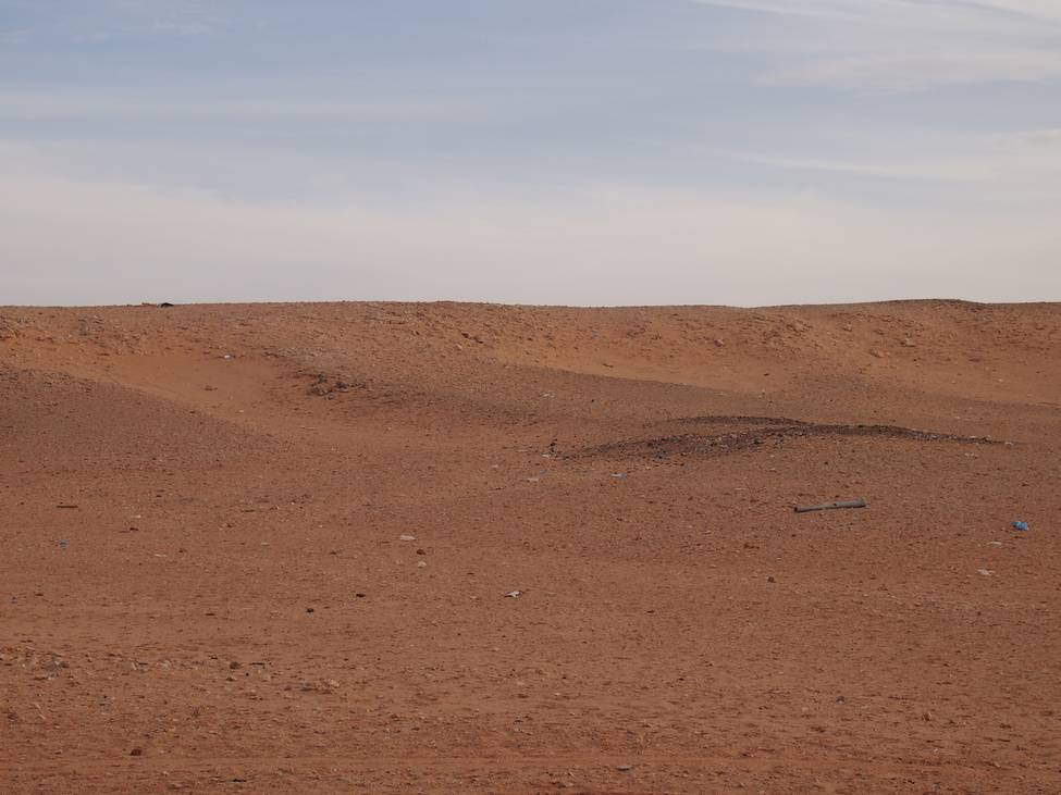 In the Desert, with Peace image