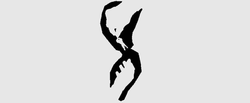 Disappearance Reappearance image