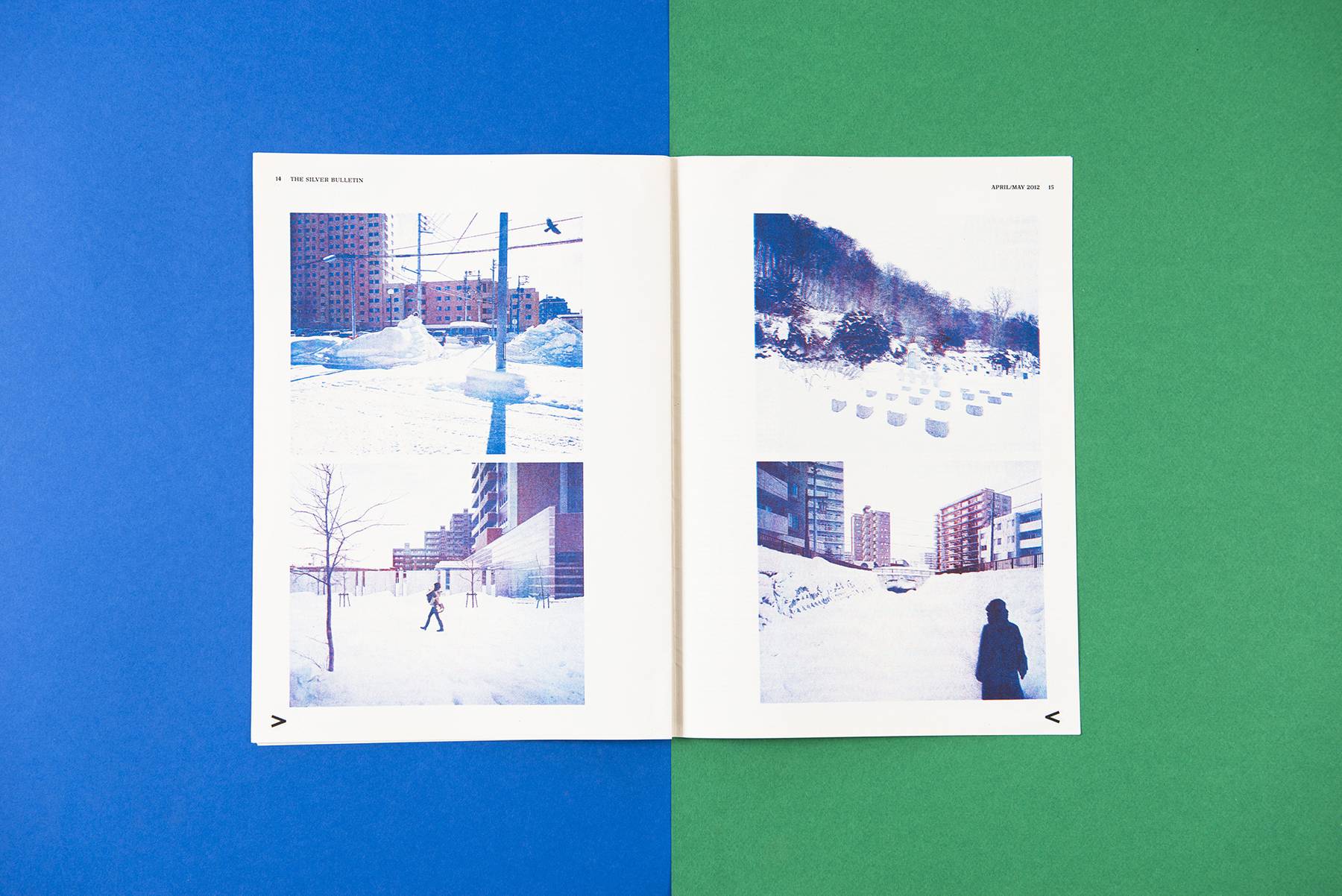 The Silver Bulletin 2012 image